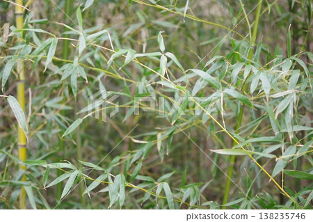 繡線 繡線 138235746