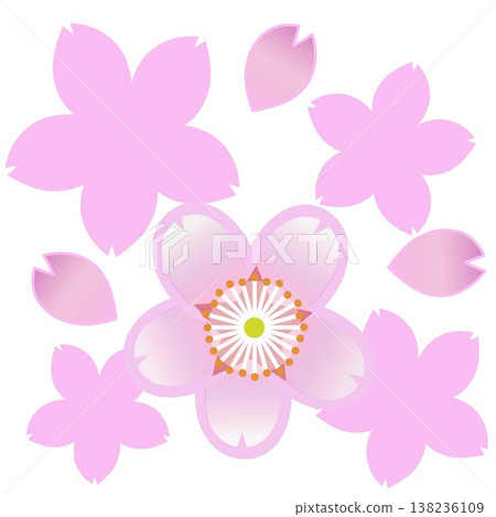 Cherry blossom motif illustration 138236109