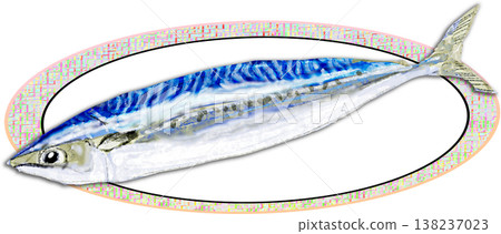 Illustration of Seki mackerel 138237023