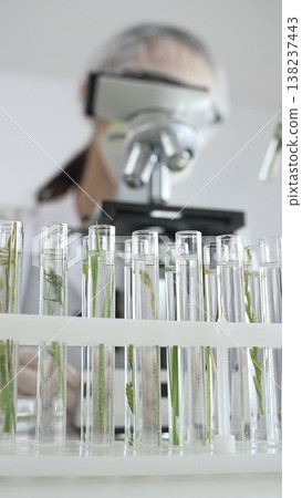 Close up of test tubes with a scientist analyzing plant samples in test tubes with a microscope, conducting research in a laboratory. Medicine, healthcare and science concept Close up of test tubes with a scientist analyzing plant samples in test tubes with a microscope, conducting research in a laboratory. Medicine, healthcare and science concept 138237443