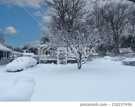 A winter scene of houses covered in heavy snow, with snow-covered gardens and trees. 138237456
