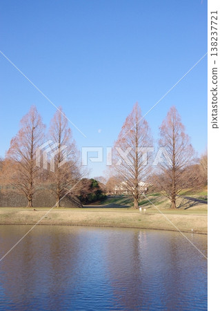 The midday moon and the park The midday moon and the park 138237721