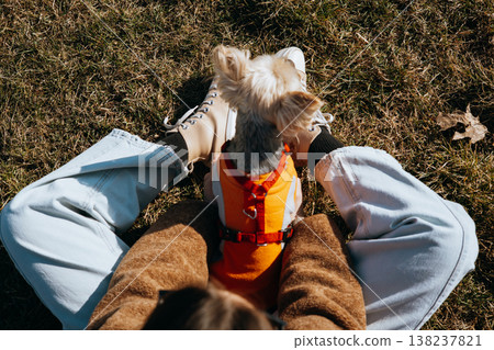 High angle POV shot of a woman sitting on dry grass in a sunny park, holding her small yorkshire terrier's head in her hands. Cozy autumn or early spring atmosphere, emotional connection with a pet. High angle POV shot of a woman sitting on dry grass in a sunny park, holding her small yorkshire terrier's head in her hands. Cozy autumn or early spring atmosphere, emotional connection with a pet. 138237821