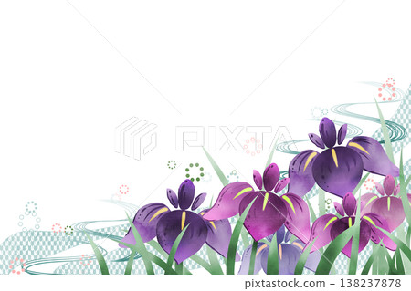 鳶尾花 3 138237878