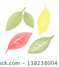 A set of leaves. Watercolor illustration isolated on a white background. Bright leaves for food and agriculture-themed designs, posters, and summer events 138238004