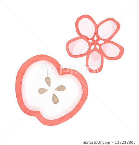 Half an apple with and apple flower. Watercolor illustration isolated on a white background for postcards, fabric printing, menus, posters and packaging 138238005