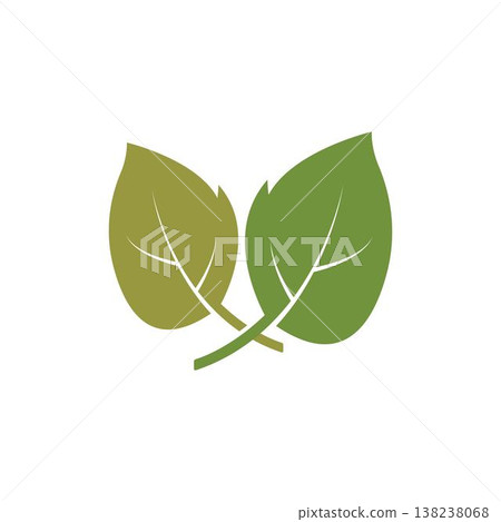 Logos of green leaf ecology nature element vector icon 138238068