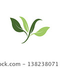 Logos of green leaf ecology nature element vector icon 138238071