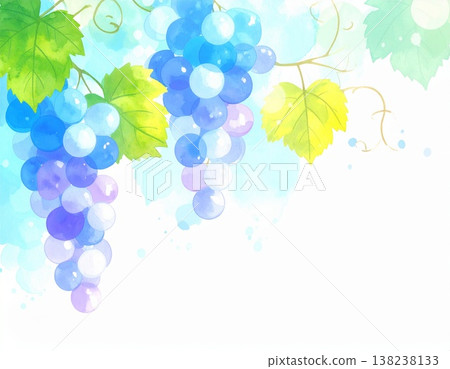 葡萄 葡萄 138238133