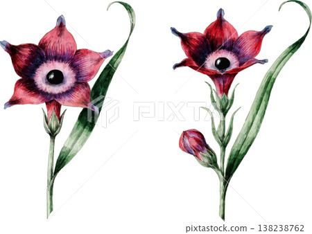 Watercolor Illustration of Exotic Red Flowers Watercolor Illustration of Exotic Red Flowers 138238762