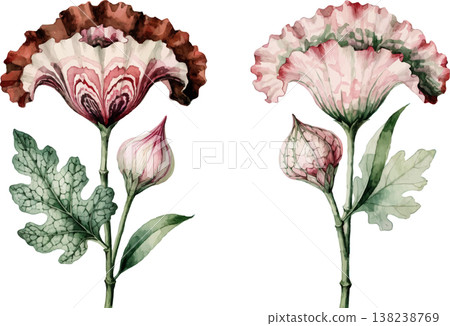 Vintage Watercolor Botanical Illustration of Two Exotic Flowers Vintage Watercolor Botanical Illustration of Two Exotic Flowers 138238769