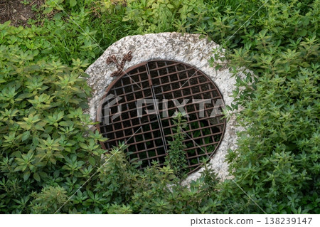 Round drainage grate in overgrown vegetation Round drainage grate in overgrown vegetation 138239147