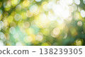 Blurred green and yellow bokeh background with sunlight, abstract nature texture Blurred green and yellow bokeh background with sunlight, abstract nature texture 138239305