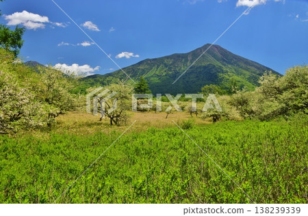 Oku-Nikko Senjogahara: The season of fresh greenery Oku-Nikko Senjogahara: The season of fresh greenery 138239339