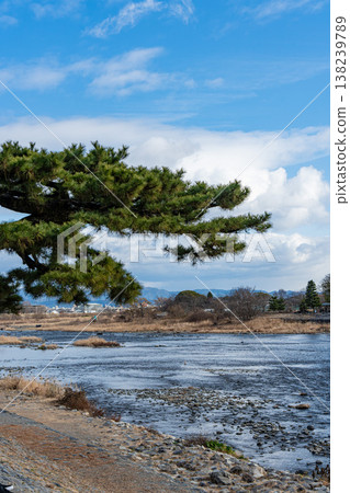 日本：京都嵐山的鴨川和松樹，以及渡輪橋 138239789
