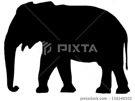 Silhouette of a walking elephant Silhouette of a walking elephant 138240503