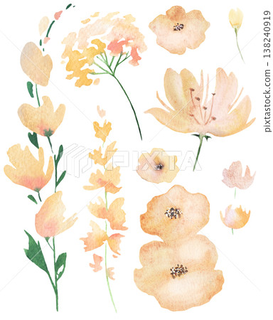 Watercolor light yellow flowers clipart, botanical isolated illustration, pastel wedding elements Watercolor light yellow flowers clipart, botanical isolated illustration, pastel wedding elements 138240919
