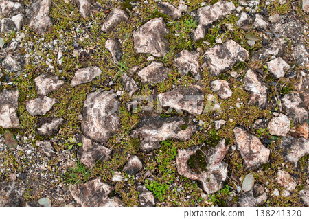 Rough Ground Texture with Broken Concrete, Gravel, and Grass Close Up Rough Ground Texture with Broken Concrete, Gravel, and Grass Close Up 138241320
