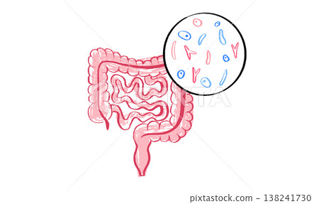 Gut Brain Connection 138241730
