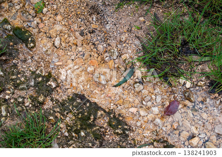 Shallow Rocky Stream with Flowing Crystal Clear Water 138241903