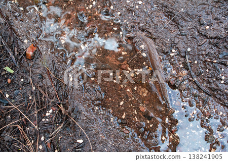 Wet Muddy Ground with Pebbles and Puddles 138241905
