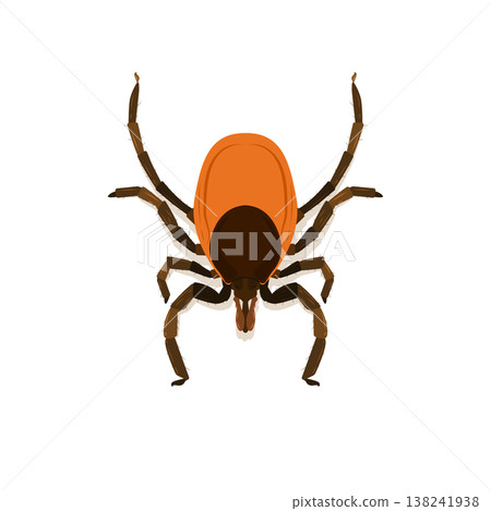 Flat vector illustration of tick, High detailed illustration of color tick. 138241938