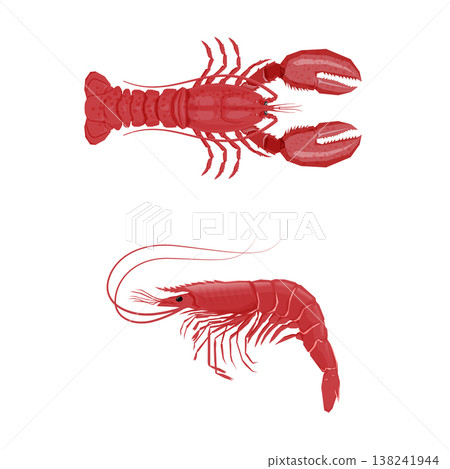 Minimalist flat vector illustration of a red shrimp Minimalist flat vector illustration of a red shrimp 138241944