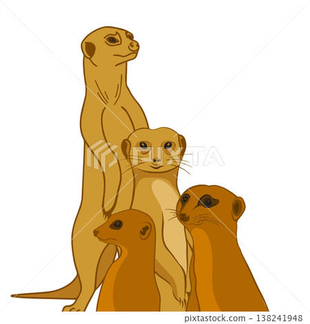 vector, animal, cartoon 138241948