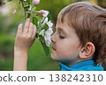 Young boy smelling blooming flowers on a tree branch outdoors 138242310