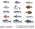一組簡單的魚類插圖 138242594