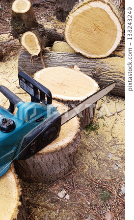 Chainsaw with old trees with sawdust. Vertical photo 138243249