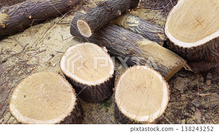 Rustic firewood pile in a cozy outdoor setting Rustic firewood pile in a cozy outdoor setting 138243252