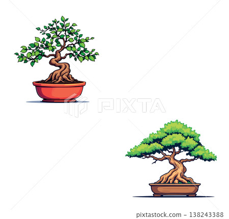 Two bonsai trees growing in pots showing twisted trunks and green leaves 138243388