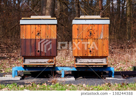 Lots of bees flying into two wooden hives on a sunny day, trees forest background, colony collapse disorder concept Lots of bees flying into two wooden hives on a sunny day, trees forest background, colony collapse disorder concept 138244388