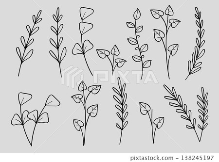Botanical Minimalist Leaf Branch and Wild Meadow Plant Floral Line Art Hand Drawn Collection Botanical Minimalist Leaf Branch and Wild Meadow Plant Floral Line Art Hand Drawn Collection 138245197