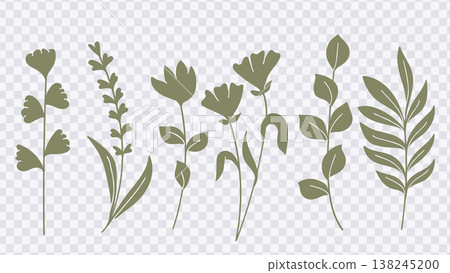Green Botanical Wildflower Silhouette Vintage Drawing Bundle.Vector Illustration Green Botanical Wildflower Silhouette Vintage Drawing Bundle.Vector Illustration 138245200