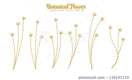 Gold Wild Plants Minimalist Floral Element Bundle.Vector Illustration 138245210