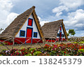 Traditional hut houses and garden of Madeira in village Santana. Sunny day in Portugal, tourist destination 138245379