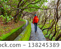 Tourist on Levada do Norte on the Portuguese island of Madeira. Levada irrigation canal. Hiking in Madeira. Narrow path next to the levada. Green mountains and ocean in background. 138245389
