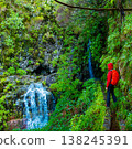 Travelers explore the beautiful levada trails in Madeira, experiencing the breathtaking views of a stunning waterfall surrounded by vibrant ferns and natural beauty 138245391