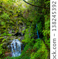 Majestic waterfall in Madeira's lush forest cascades down a rocky cliff, creating a serene stream below. The 25 Fontes or 25 Springs. It's a group of waterfalls located in Rabacal, Paul da Serra 138245392