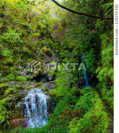 Majestic waterfall in Madeira's lush forest cascades down a rocky cliff, creating a serene stream below. The 25 Fontes or 25 Springs. It's a group of waterfalls located in Rabacal, Paul da Serra Majestic waterfall in Madeira's lush forest cascades down a rocky cliff, creating a serene stream below. The 25 Fontes or 25 Springs. It's a group of waterfalls located in Rabacal, Paul da Serra 138245392
