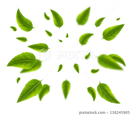 Green realistic tea leaves explosion with blurry leaf motion. Vector isolated illustration Green realistic tea leaves explosion with blurry leaf motion. Vector isolated illustration 138245905