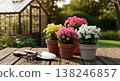 Colorful potted flowers and gardening tools on a rustic wooden table with greenhouse background 138246857