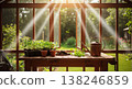 Sunlight streams into a greenhouse illuminating seedlings and gardening tools 138246859