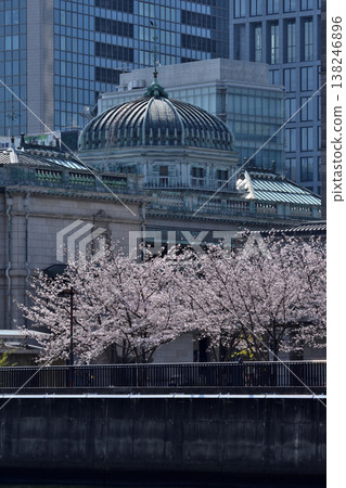 日本銀行大阪分行舊址及櫻花 138246896