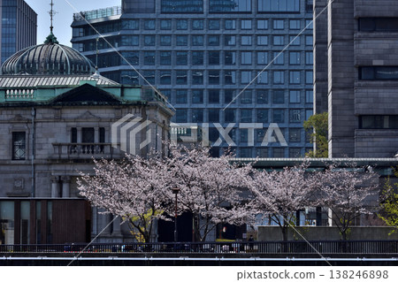 The former building of the Bank of Japan Osaka Branch and cherry blossoms The former building of the Bank of Japan Osaka Branch and cherry blossoms 138246898