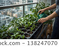 Urban Balcony Garden Watering - Home Gardening in City Apartment. AI generated image 138247070