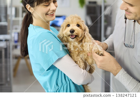 Veterinarian and nurse caring for poodle mix dog during checkup at pet clinic 138247121