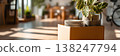 Moving boxes with plates and potted plant in bright apartment interior during relocation process 138247794